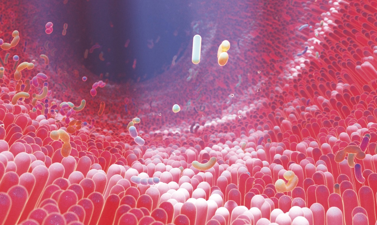 I microbi amici della nostra salute 