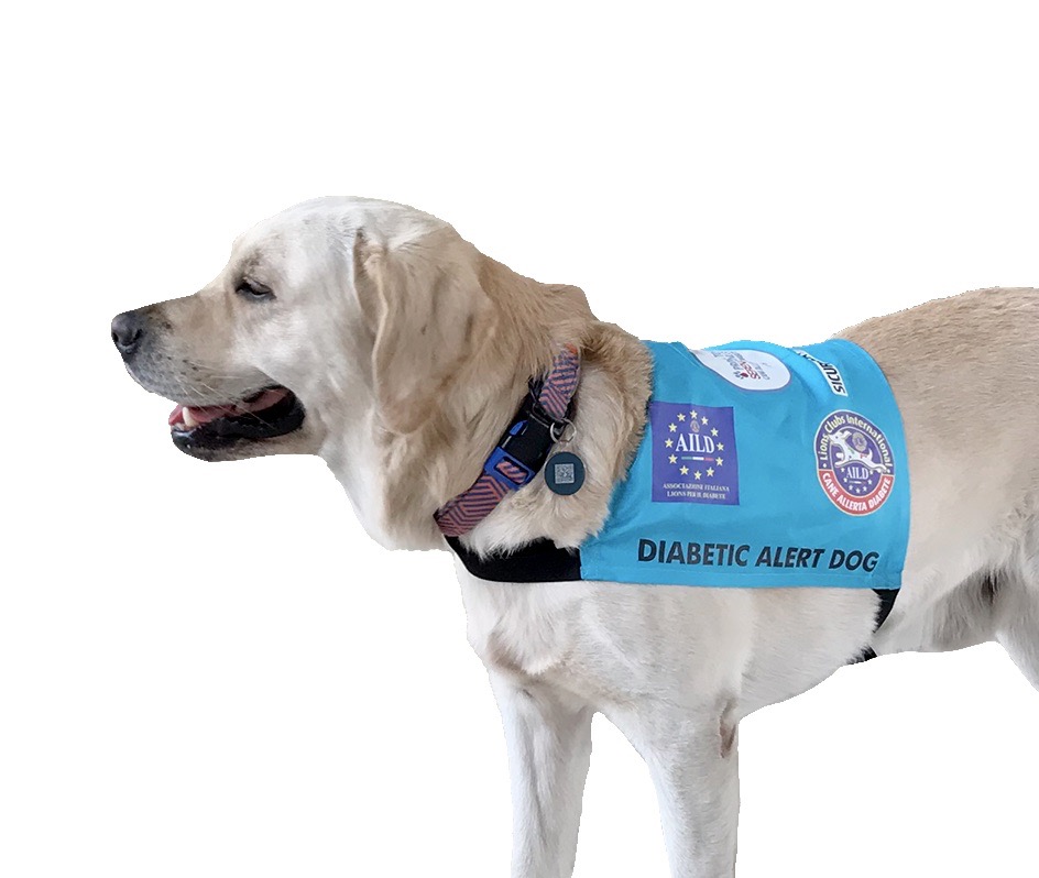 Cani allerta diabete un riconoscimento storico per Aild
