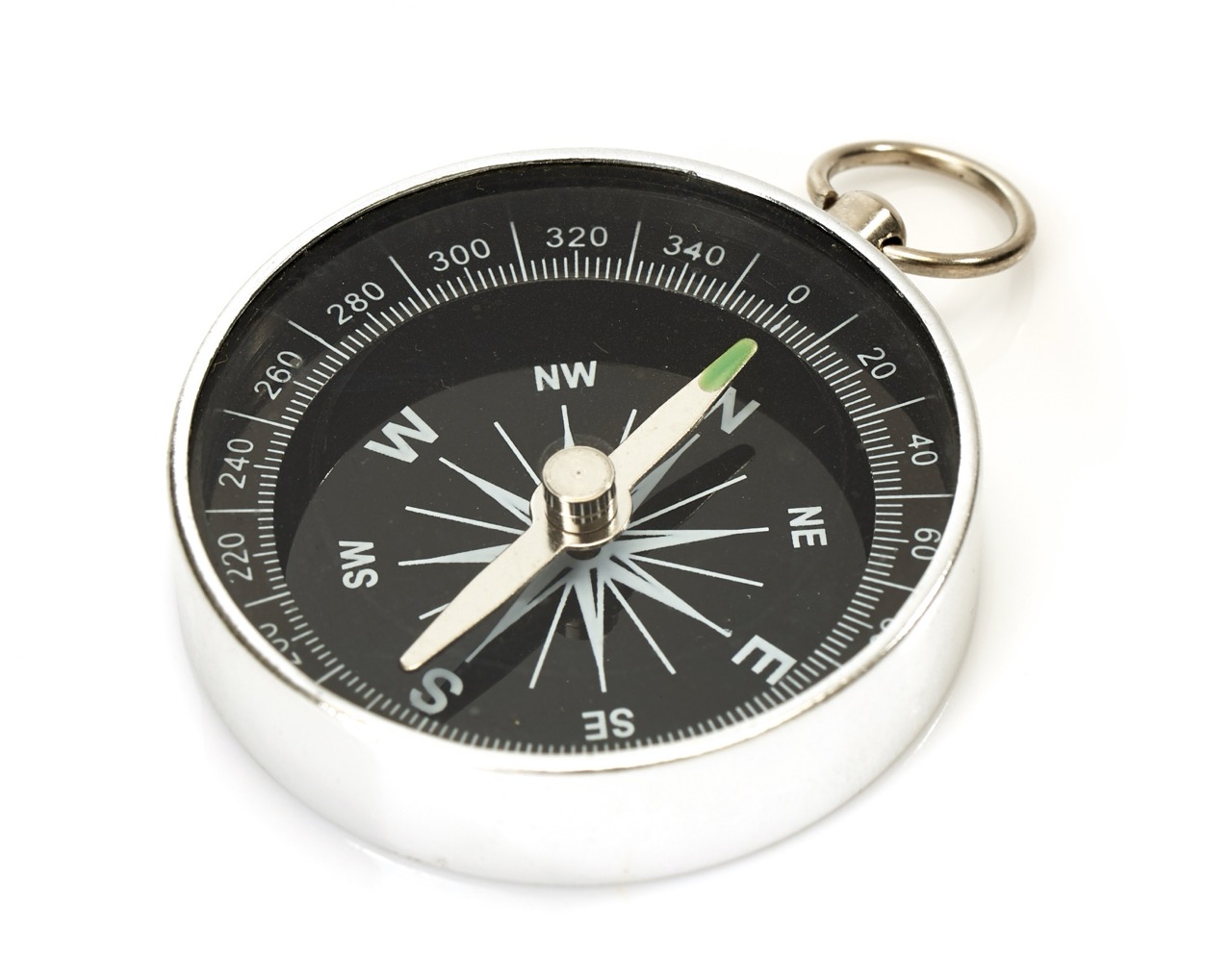 LA VERA SFIDA DELLA LEADERSHIP LION LA VERA SFIDA DELLA LEADERSHIP LION