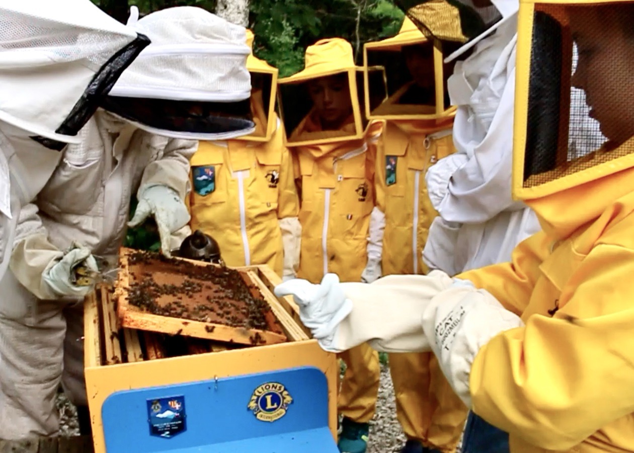 Imparare dall’alveare: ispiriamo i giovani a proteggere la biodiversità